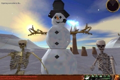 snowmanskeletons1