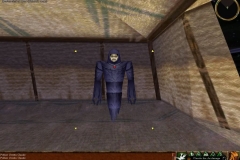 pethor2
