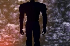 fem_shadow_leader
