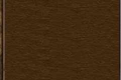 15941063_10211770148707946_7759320261833336070_n