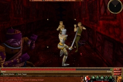 Virindi Towers 16_zpsswbqiipg