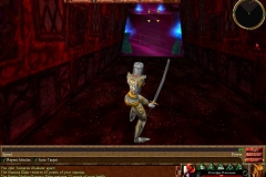 Virindi Towers 18_zpst4szd41r