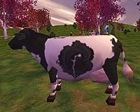 MLCow200