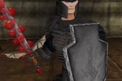 dyedshieldpose_zpswkawv5ov