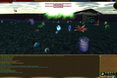 Screenshot00743