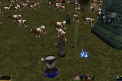 ScreenShot00071