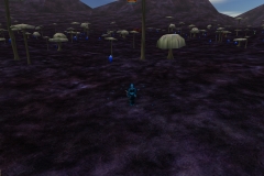 ScreenShot196
