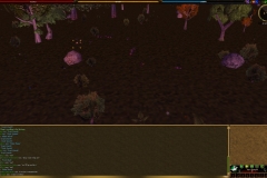 Screenshot00496