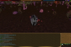 Screenshot00497
