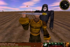 WaveVirindiExecutor