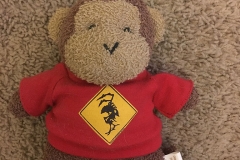 monkey