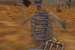 Skeleton_zpspjhcduwa