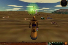 08 - iqelsCS