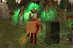 ScreenShot00029 copy