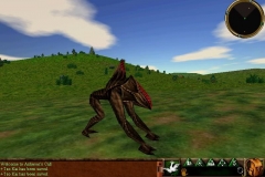 ReedShark_zpszoqkq24x