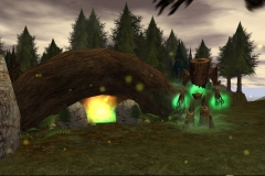 ForestFire