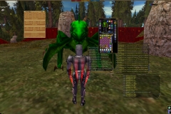 ScreenShot00061