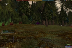 ScreenShot00313