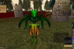 ScreenShot06709