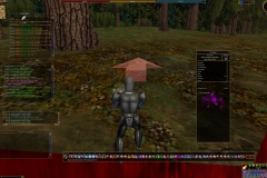 ScreenShot06772