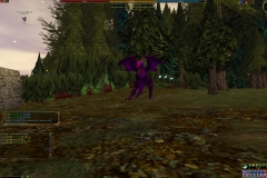 ScreenShot06778