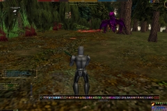 ScreenShot06782