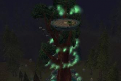 Viridian_Deru_Tree_2_Live