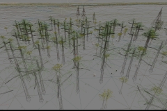 ScreenShot00106