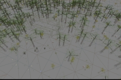 ScreenShot00108